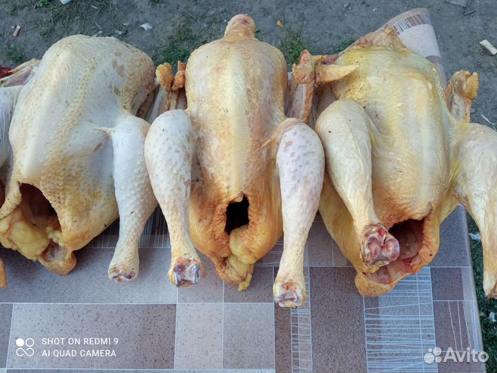 Мясо домашнего бройлера