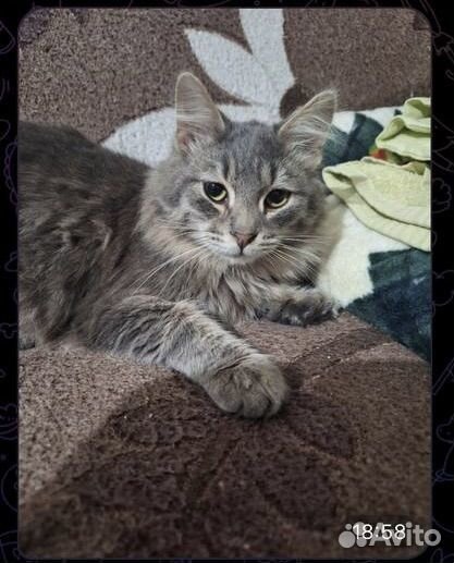 Милый мальчик