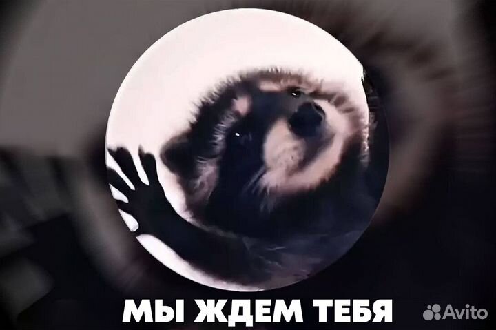 Продавец консультант
