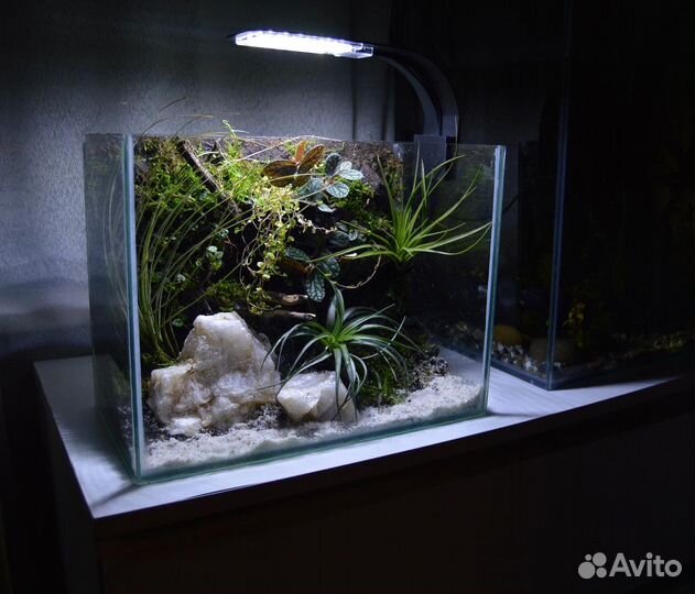 Террариум/флорариум