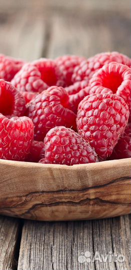 Малина лесная