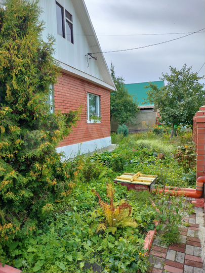 Дом 100 м² на участке 11,14 га