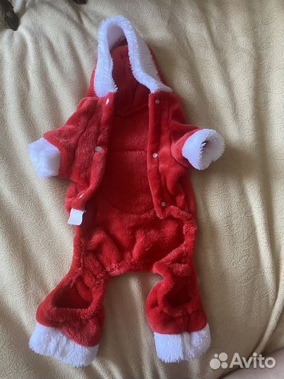 Костюм для собаки