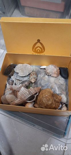 Грот, ракушки, камушки для авариума