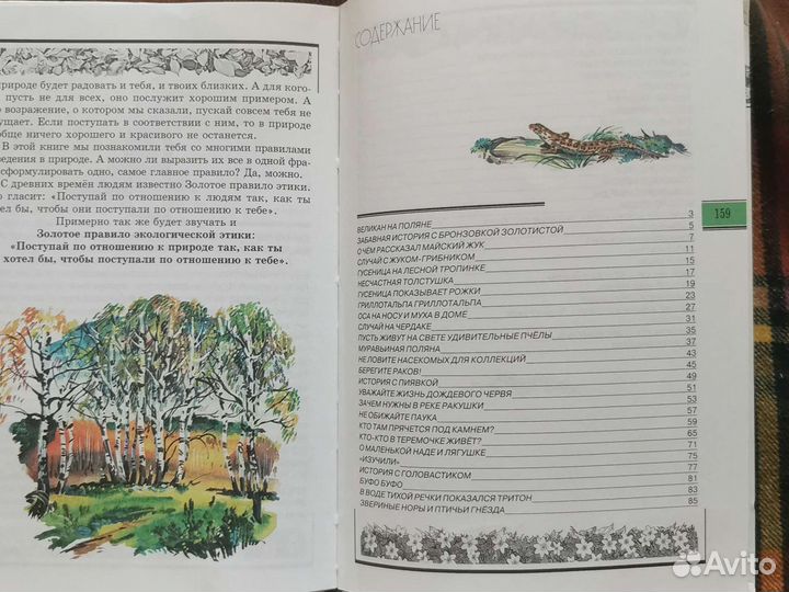 Книга Великан на поляне