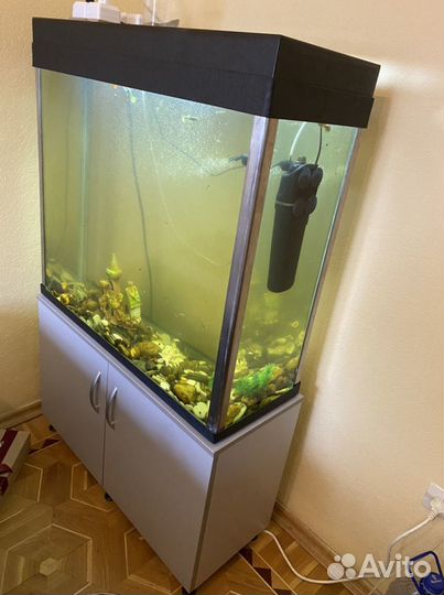 Аквариум с тумбой 200 литров