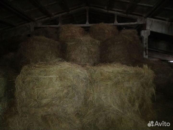 Продам сено в тюках