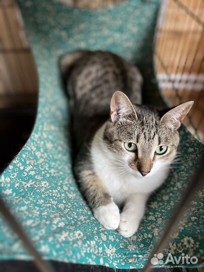 Почему меня никто не замечает