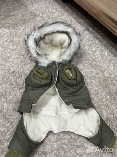 Одежда для собак мелких пород