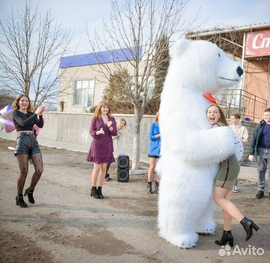 Белый и Бурый Мишка