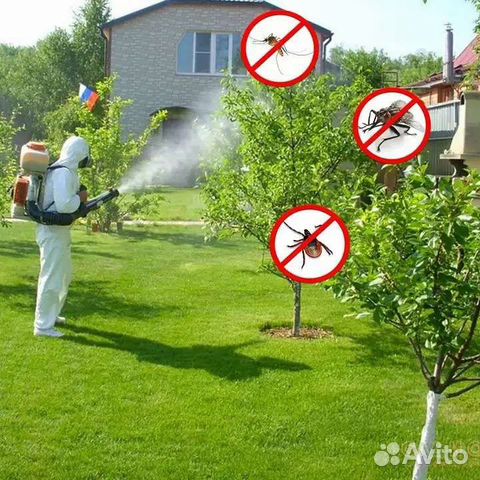 Обработка от клещей и комаров, тараканов, клопов