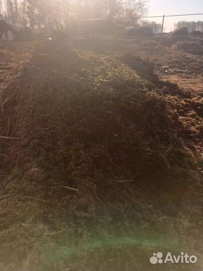 Навоз конский в мешках и самосвалом