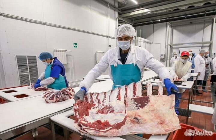 Займ в мясокомбинат, прибыль 24669