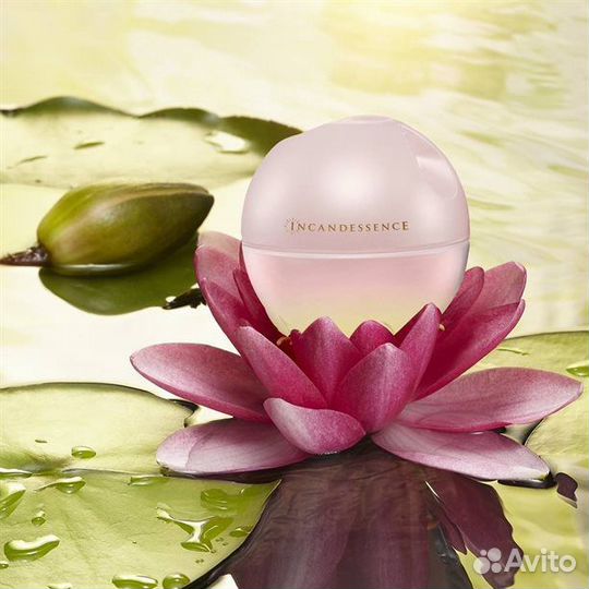 Avon incandessence lotus