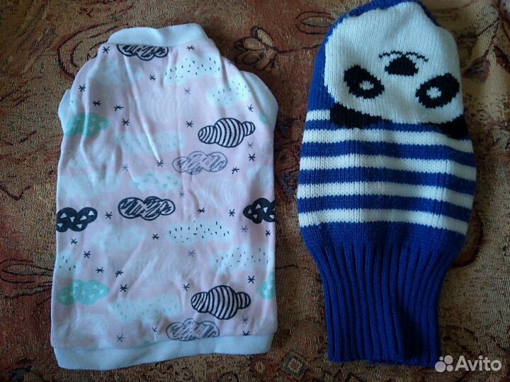 Одежда для кошек