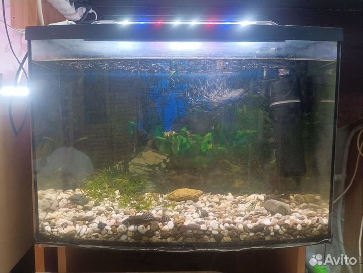 Аквариум