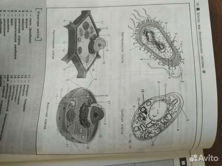 Наглядный справочник по биологии