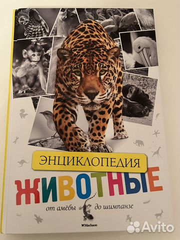 Энциклопедия про животных