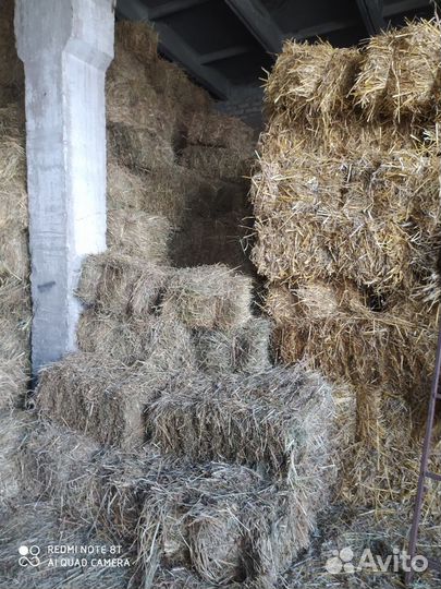 Сено и солома