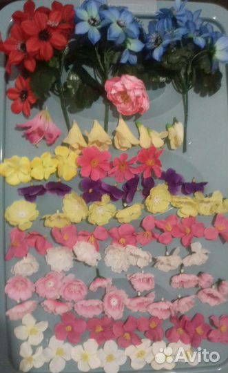 Цветы,листья,стебли. Листайте фото