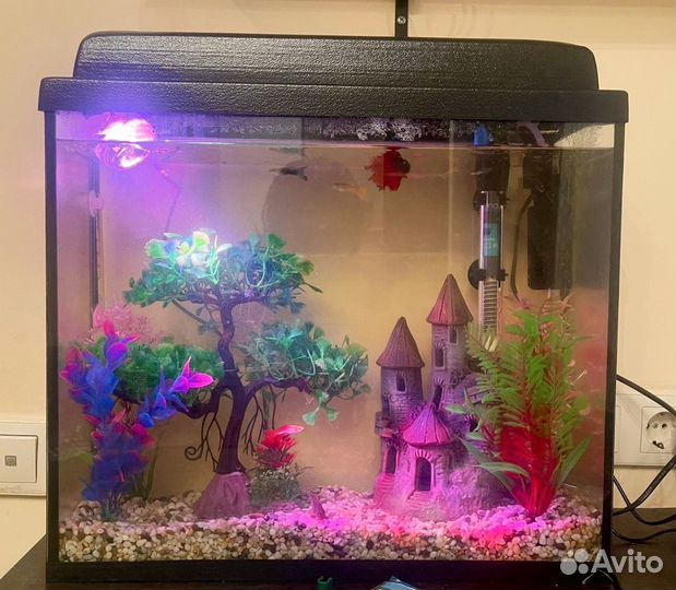 Аквариум