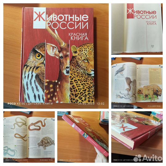 Книга детская
