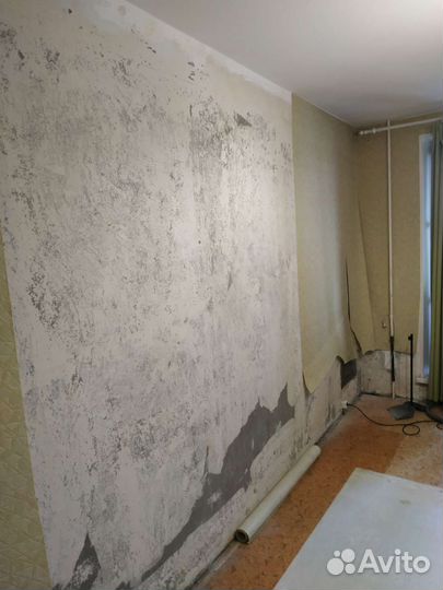 Услуги мастер на час