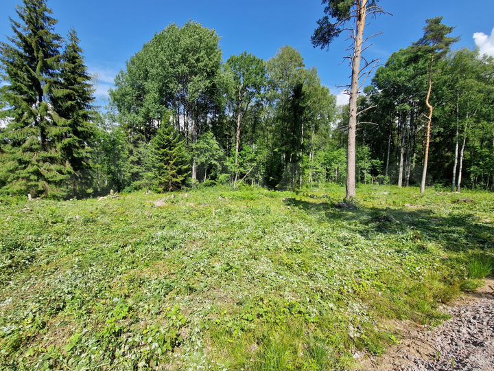 Участок 10 сот. (СНТ, ДНП)