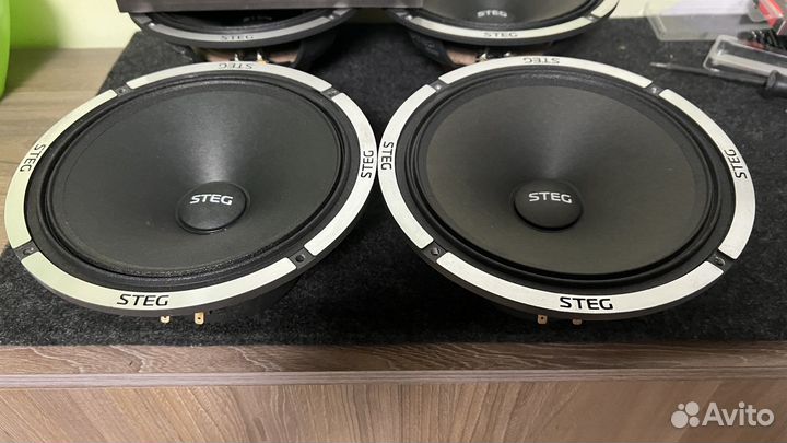 Динамики 8 дюймов Steg F8