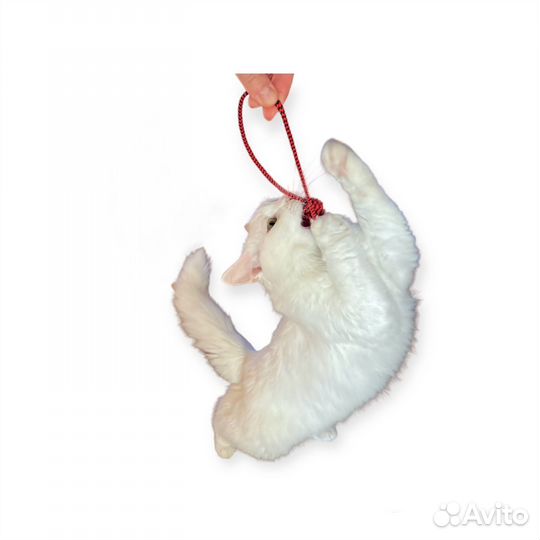 Узел с петлей. Игрушка для собак и кошек