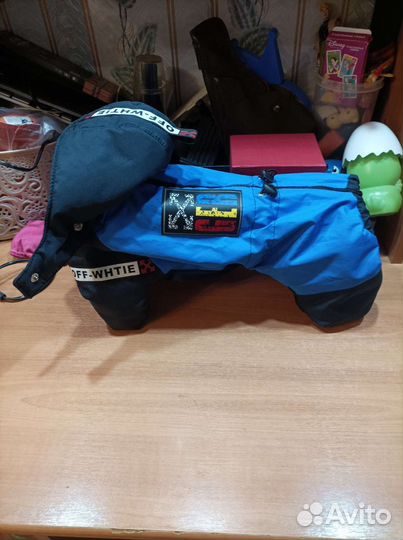 Одежда для животных