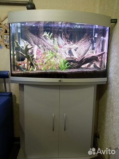 Продам аквариум 120 л. с тумбой и оборудованием