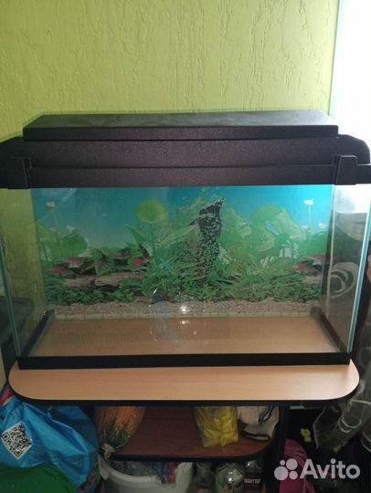 Аквариум