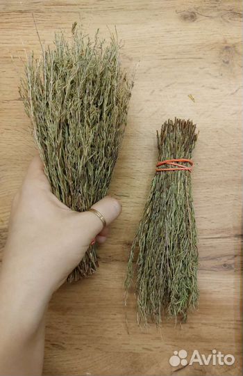 Чабер (цитрон приправа, кондари)