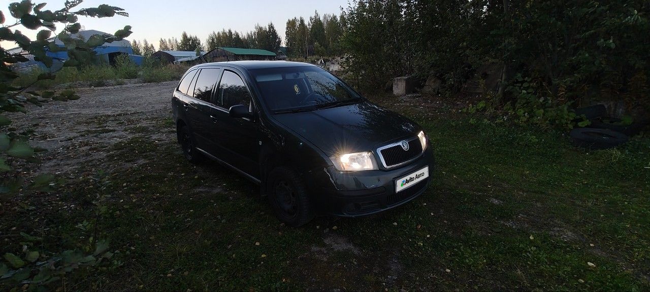 Skoda Fabia: фото владельца