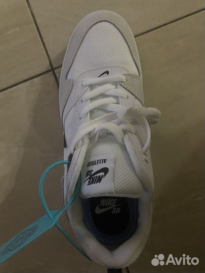 Nike sb alleyoop