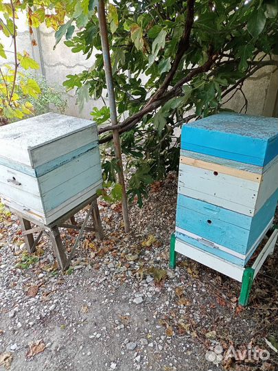 Продам ульи для пчел