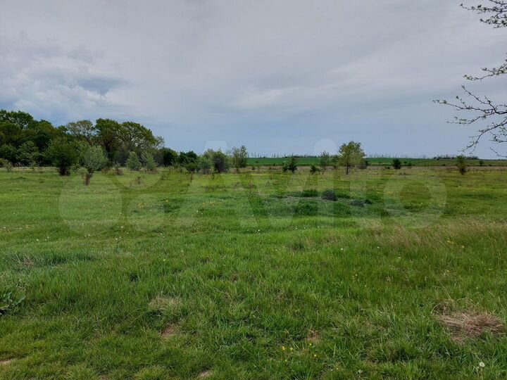 Участок 8 га (СНТ, ДНП)