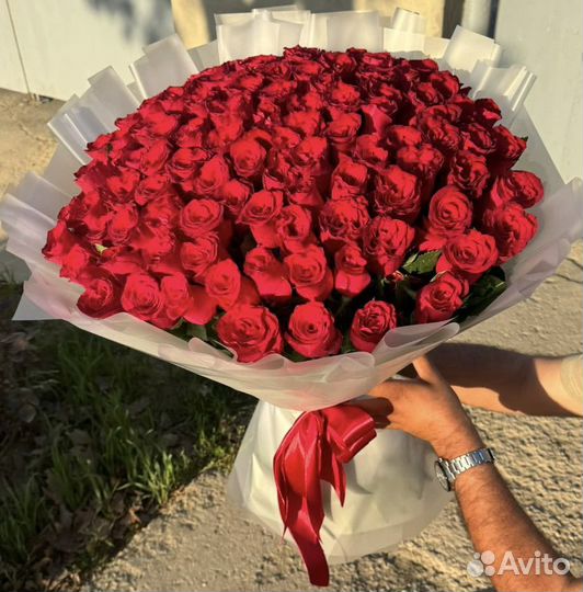 101 роза 70 см