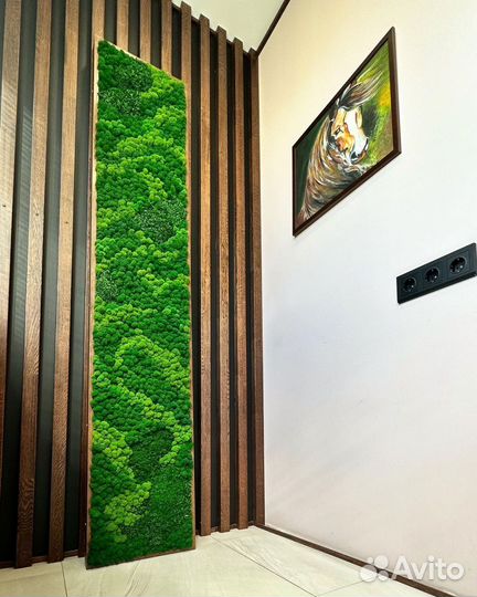 Стабилизированный мох для декора