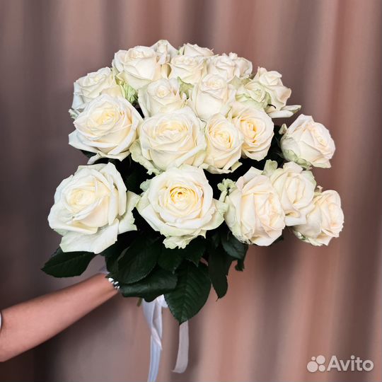 Цветы розы 101 51 21