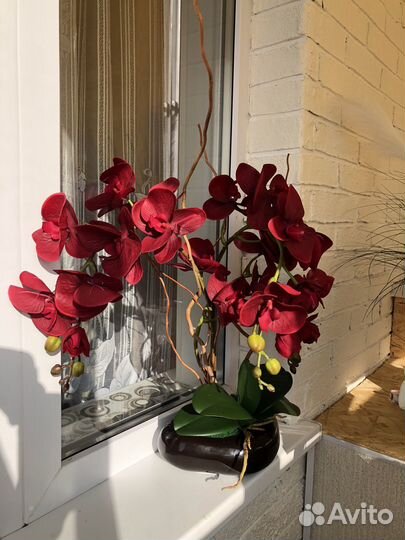 Орхидея фаленопсис искусственная