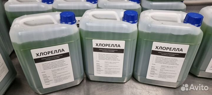 Хлорелла для водоемов