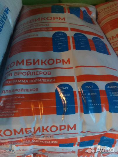 Цыплята