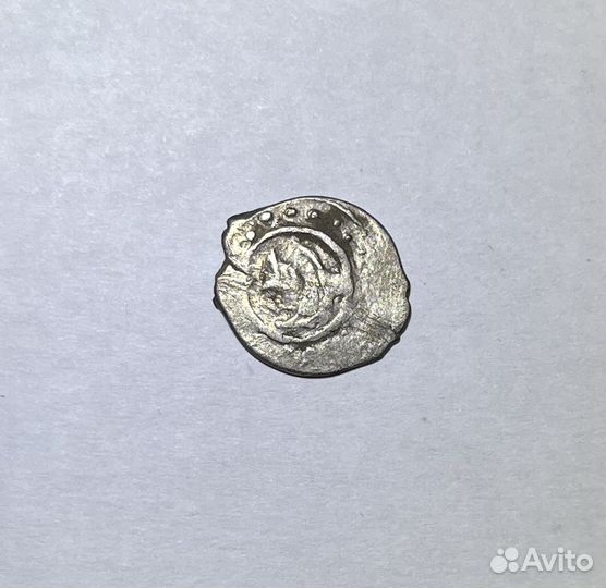 Удельная чешуя «щучка» (Василий Дмитриевич )