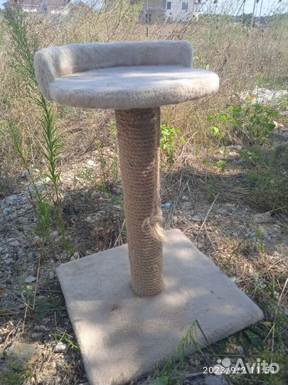 Когтеточка