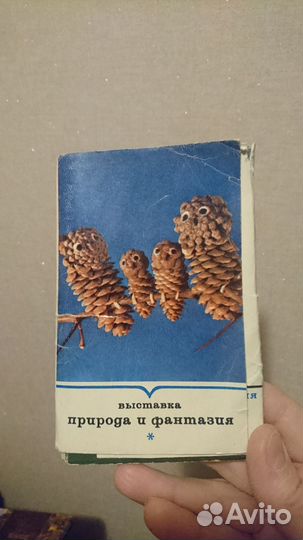 Открытки СССР выставка природа и фантазия