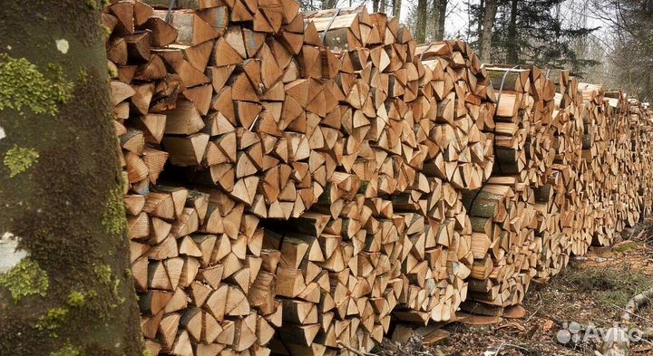 Дрова в город