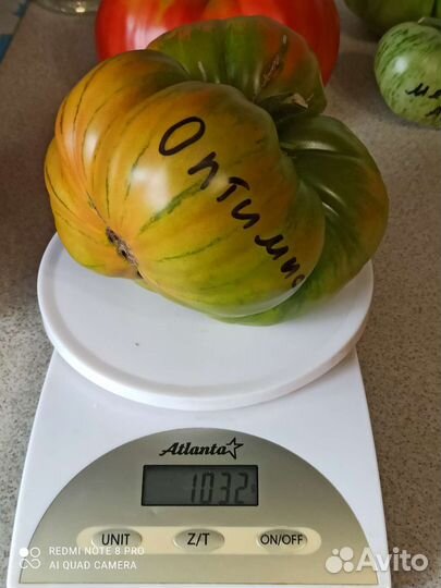 Коллекционные семена томатов,высылаю почтой