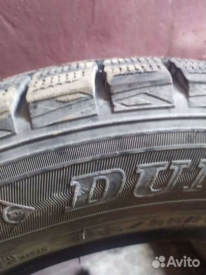 Dunlop Winter Maxx WM01 185/65 R15